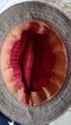 Bild 9 von 9