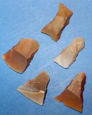 5 ARROW POINT's Transverse edge,  Arrow-Points. DANISH MESOLITHIC STONEAGE