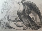 Picture 10 of 11