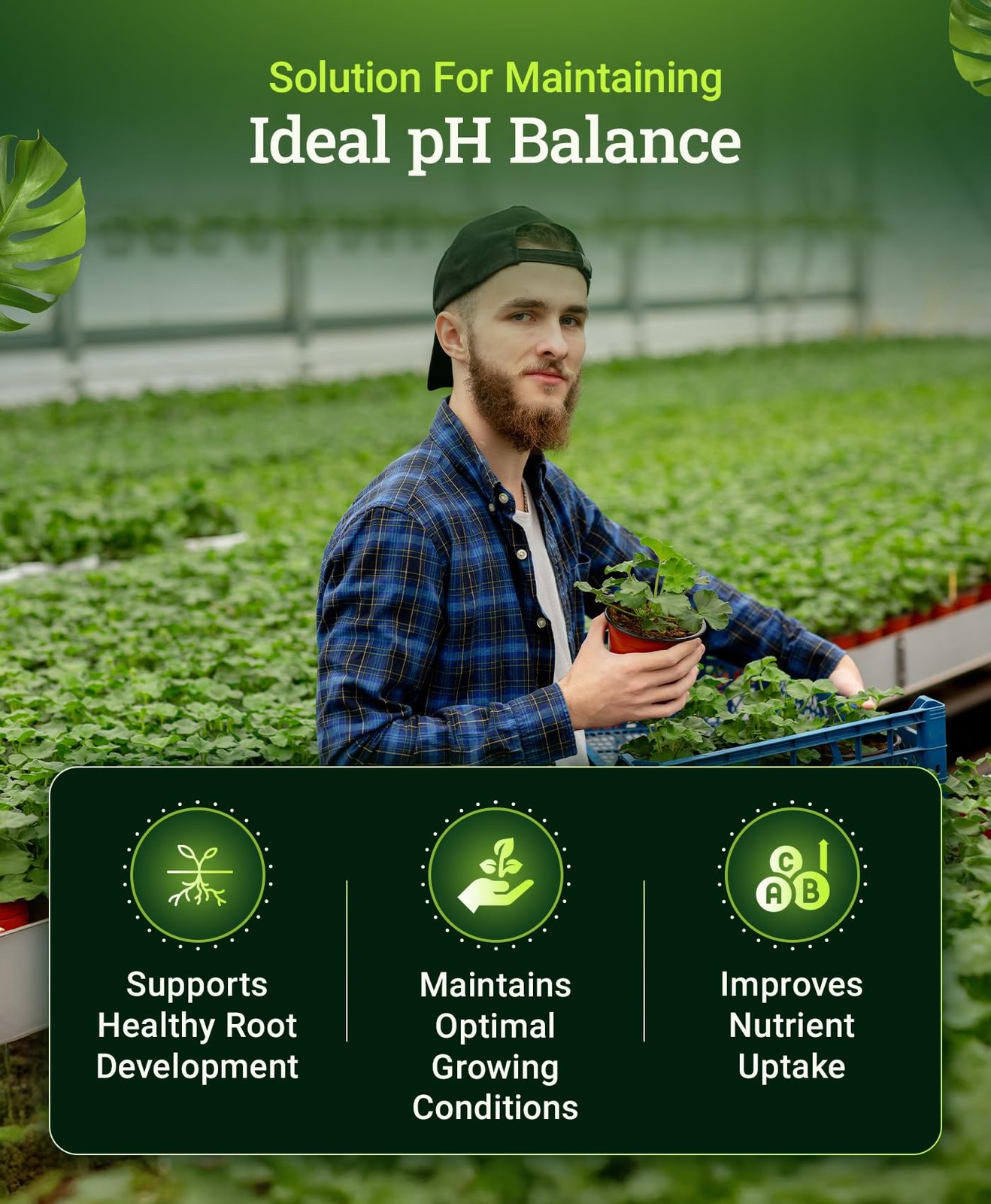 Cultivation Nation pH Down - Liquid Nutrient Solution Adjuster for Hydroponic...