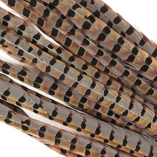 FAISÁN DE CUELLO ANILLO INGLÉS Plumas Naturales 8-10" Halloween/Sombreros/Disfraz - Imagen 2 de 3