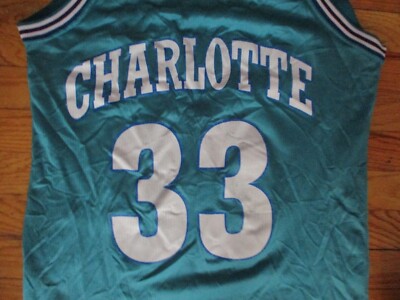 Original 90s CHARLOTTE HORNETS #33 Alonzo Mourning Jersey SM
