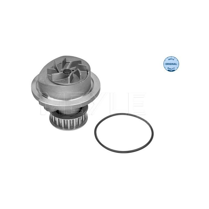 MEYLE 613 600 0005 Pompa acqua per Astra Combo Astravan Meriva