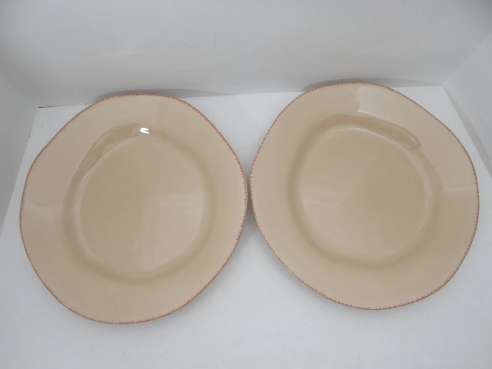 Juego de 2 platos de cena Pier 1 elemental miel loza Foto 2 de 4