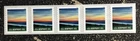 2026USA 5c NonProfit Org Summer Sunset - Coil Strip of 5 Mint NH
