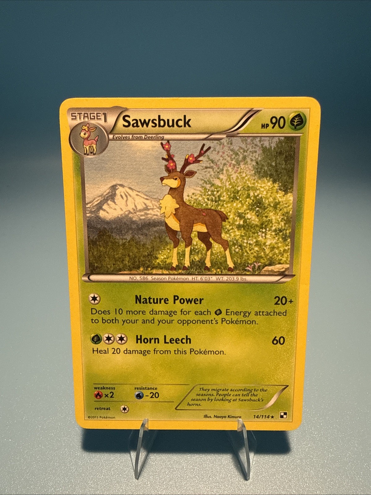 Sawsbuck 14/114 Black White LP Pokemon