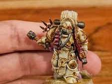 Warhammer 40k 40,000 Death Guard Dark Imperium Plague Marine OOP Painted MF361