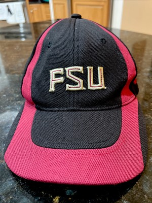 Florida State Seminoles FSU NIKE Flex 