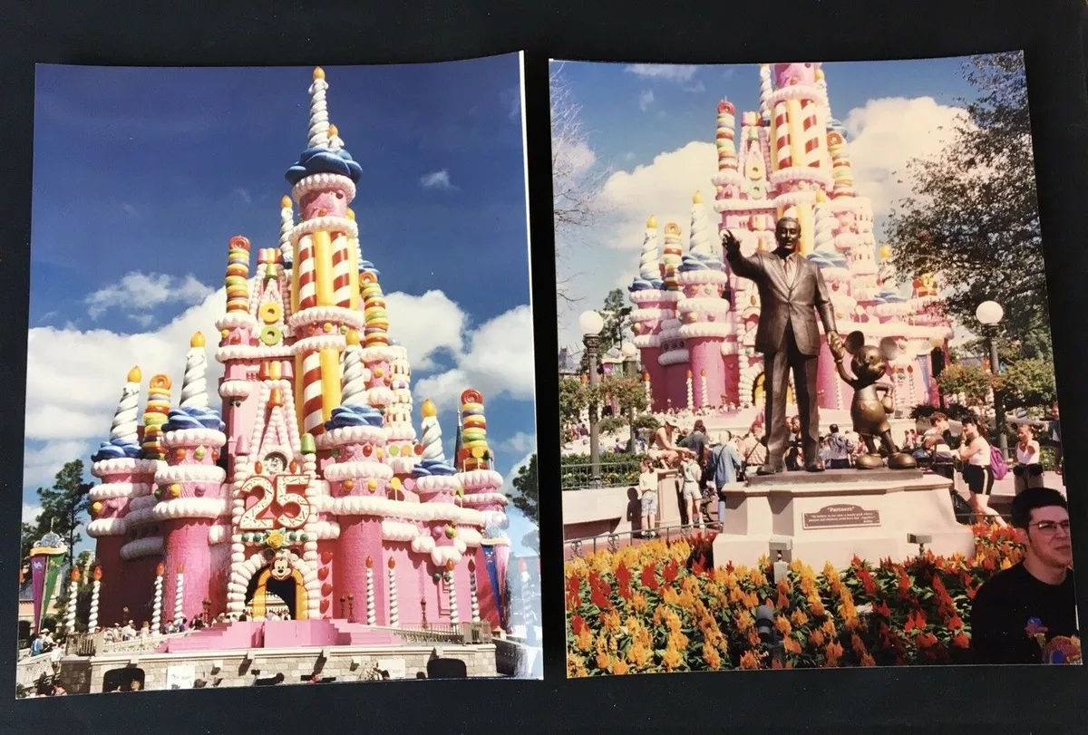 Cinderella Castle Cake 25th Anniversary
