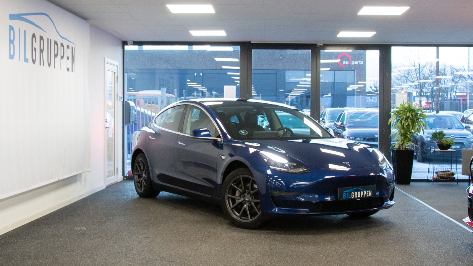 Tesla Model 3 2019