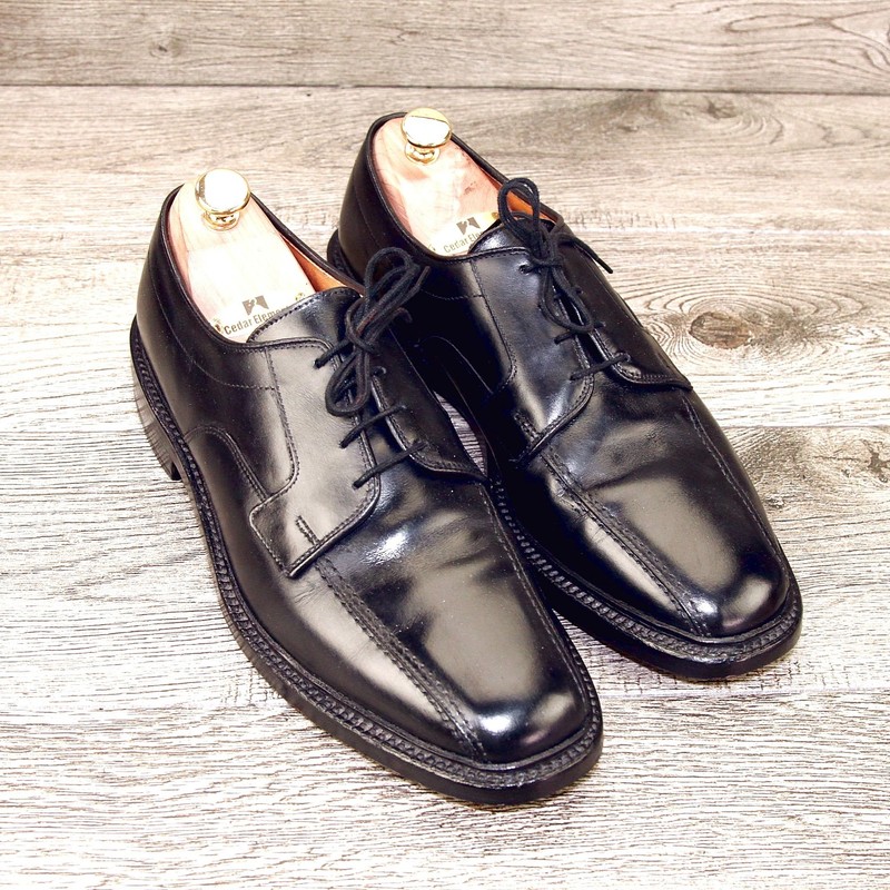 Allen Edmonds HILLCREST Bicycle Toe Derby  9 D  Black * add $15 new Trees