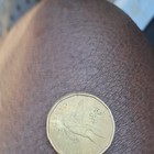 Canada 2011 $1 One Dollar Loonie Coin - Nickel Composition, Denomination $1 — photo 2