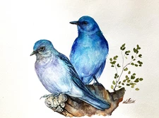 Bluebird Pair Birds Watercolor Original Painting