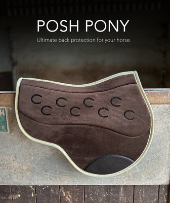 POSH PONY SCHABRACKE korrigiert Passformfehler Komfort für empfindliche Rücken -COB