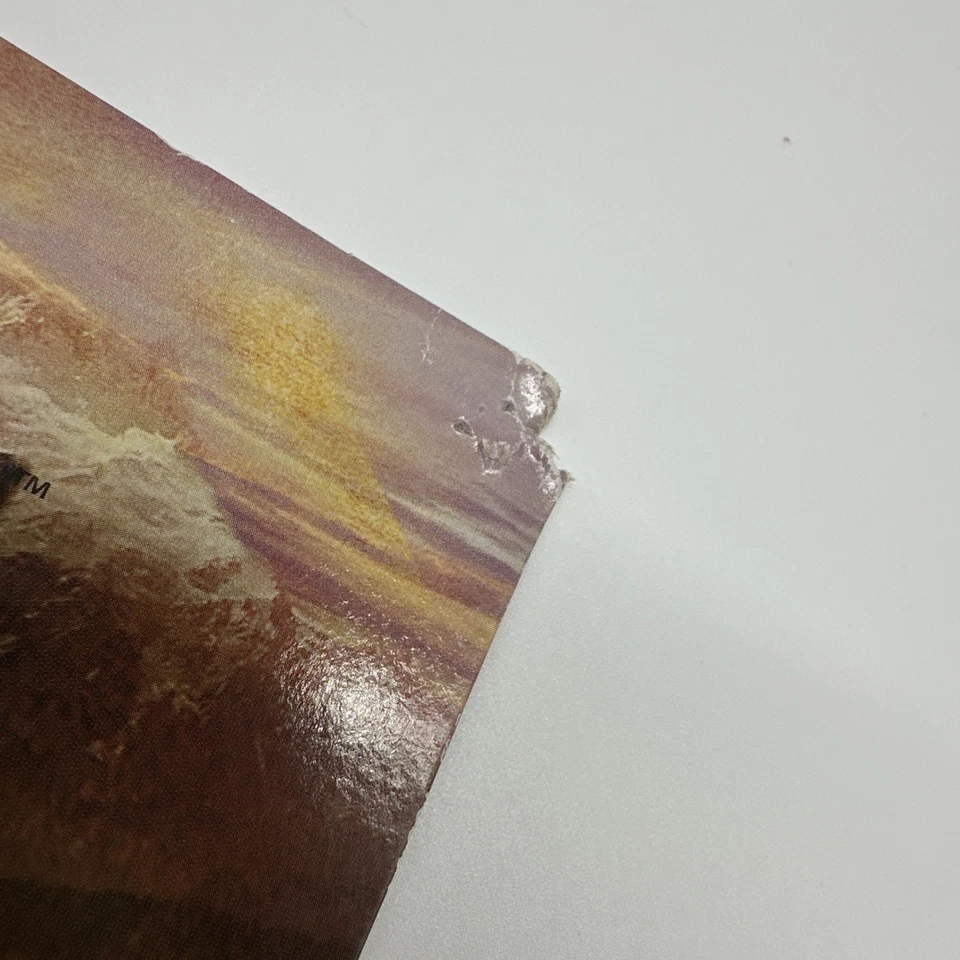 全新未拆封 LOTR 霍比特人人偶 Kili The Dwarf & Fili The Dwarf 可动人偶 — 第 4/4 张图片