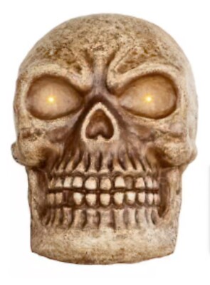 Home Accents Holiday 30 in. LED Haunted Skull | eBay