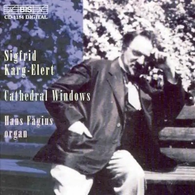 Hans Fagius - Cathedral Windows/+Symphonie Fis-Moll