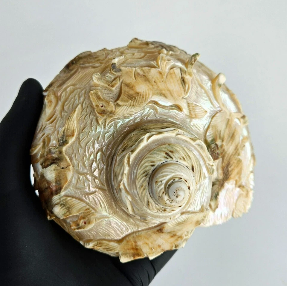 Antigua escultura vintage de concha de mar de caballos tallados con turbante verde turbo mármol Foto 3 de 4