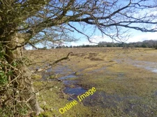 Photo 6x4 Howen Bottom, heathland Fritham Looking across sodden heathland c2014