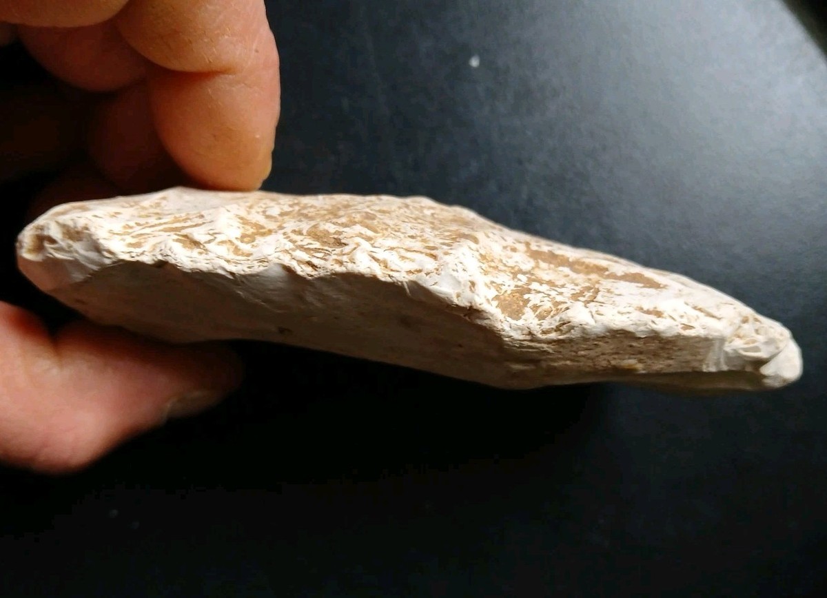 PREHISTORIC ADZE CELT SPADE HAND TOOL ARTIFACT | eBay