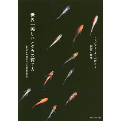 Medaka Breeding Guide Book Excellent For Ages 14+