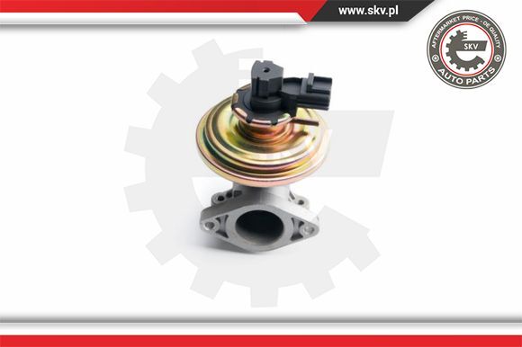 Esen SKV Agr-Ventil Pneumatisch Passend FüR Ford Transit Bus 14SKV097-image