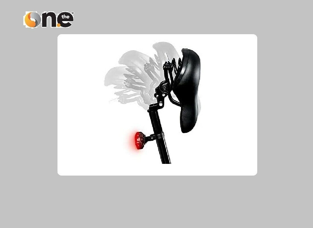 THE ONE Rider 250W Bicicletta Elettrica Pieghevole - Matt Black | Acquisti  Online su eBay