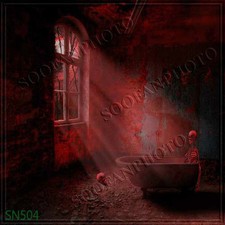 Indoor 10'x10' Computer-painted CP Scenic Photo Background Backdrop SN504B881