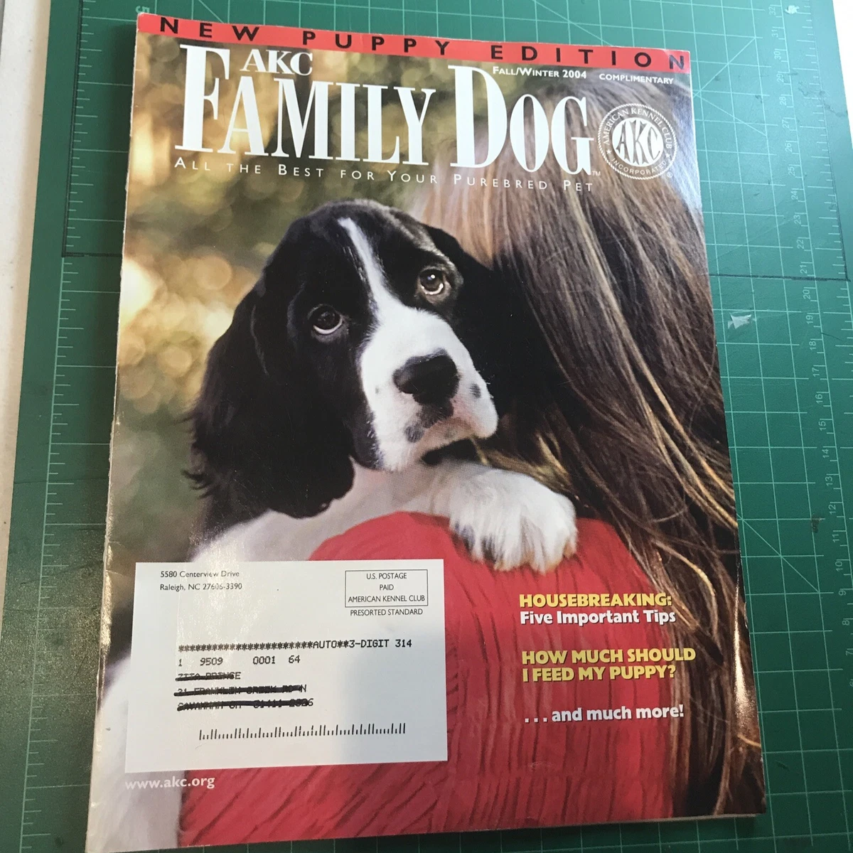Akc best on sale family dogs