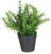 Artificial Potted Plant Splendid Herbs 3 Green 22Cm X 15Cm