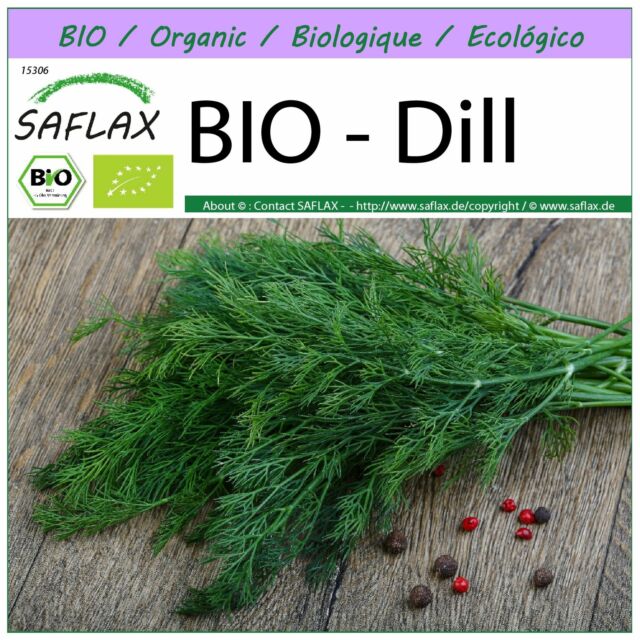 SAFLAX - BIO - Dill - Anethum - 700 Samen