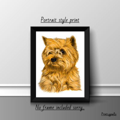 AFFENPINSCHER HAUSTIER HUND A4 BILD DRUCK POSTER WANDBILD WOHNDEKO UNGERAHMT NEU