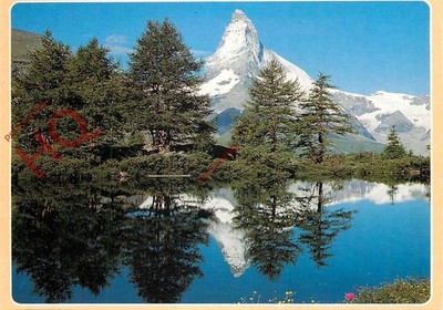 Ansichtskarte: Matterhorn, Le Mont Cervin