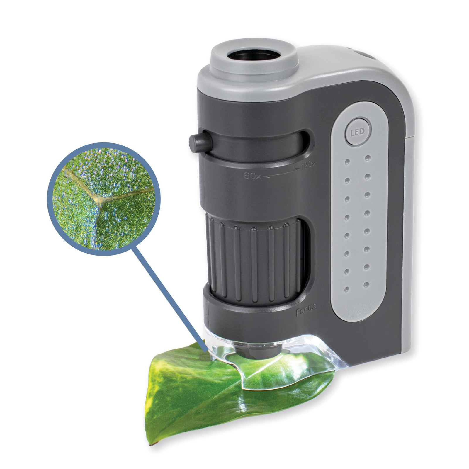 MM 300 MicroBrite Plus 60 120x LED Lighted Pocket Microscope Grey