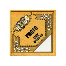 AC/DC 2000 Stiff Upper Lip Concert Tour Photo Backstage Pass