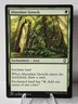 x1 MTG Commander Adventures in the Forgotten Realms Abundant Growth 150 NM Magic