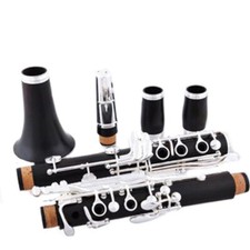 Ebony Wood Bb Professional Play Clarinet Woodwind Instrument Performance
