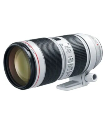 Canon EF 70-200 mm f/2.8L IS III USM Camera Lens (3044C002