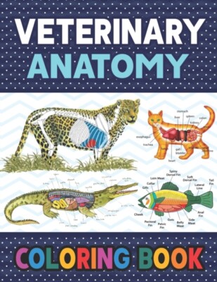 Publication - Veterinary Anatomy Coloring Book  Fun and Easy Veterinar - X555z