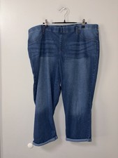 Terra & Sky blue jeggings pull on women’s 2X basic casual