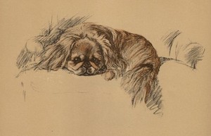 Pekingese - CUSTOM MATTED - Vintage Dog Art Print - 1937 L. Dawson
