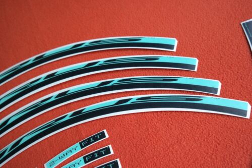 CAMPAGNOLO EURUS CELESTE - BIANCHI COLOR REPLACEMENT RIM DECAL SET FOR 2 RIMS - Imagen 4 de 11