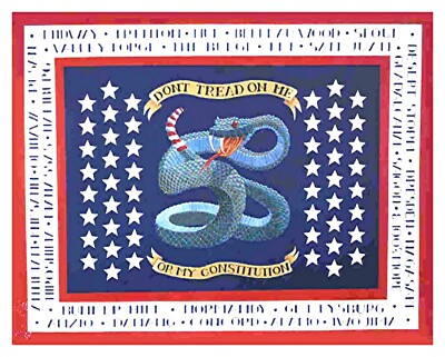 Don't Tread On Me or My Constitution Patriotic Freedoms Flag Print on Paper New