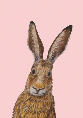 Ich heiße Hase, und... Postkarte VE 1=10 | Kathrin Schärer | 10 S. | Deutsch