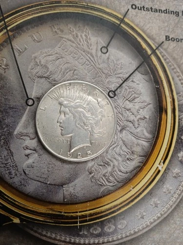 Silver 1925 P  Peace Dollar Good looking coin  TP-9834