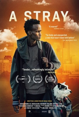 A Stray 2016 0 Filmposter Kunstdruck Epic Matt Heimkino Wand MovieNight Film