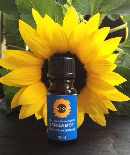100% Pure Essential Oils Therapeutic Grade Choice of Oils Natural Healing Scents - Picture 4 of 5