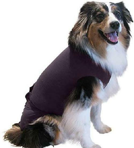 dog cone collar alternative