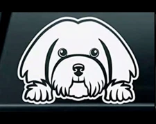 Havanese Dog 5" White Vinyl Decal Car Truck Windows Laptop Camper RV