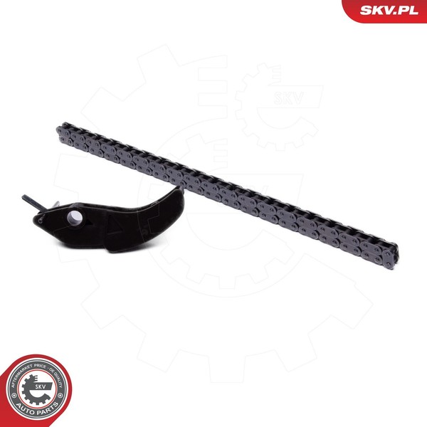 Esen SKV Steuerkettensatz 21SKV252 FüR CitroËN Passend FüR Fiat Ford Jaguar-image